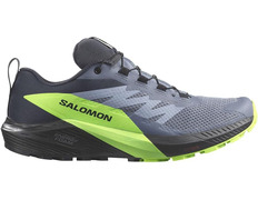 Zapatillas Salomon Sense Ride 5 GTX Gris/Verde/Negro