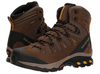 Botas Salomon Quest 4D 3 GTX Marrón