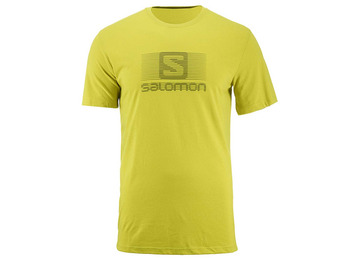 Camiseta Salomon Blend Logo SS TEE Lima