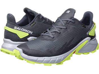 Zapatilla Salomon Alphacross 4 GTX Gris/Lima