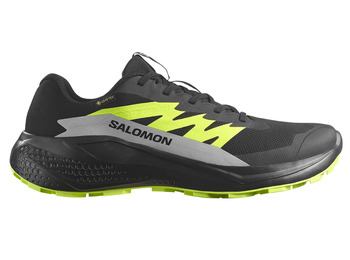 Zapatilla Salomon Alphaglide GTX Negro/Verde Lima