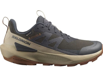 Zapatilla Salomon Elixir Activ GTX Gris/Beige