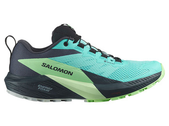 Zapatilla Salomon Sense Ride 5 GTX W Azul/Verde