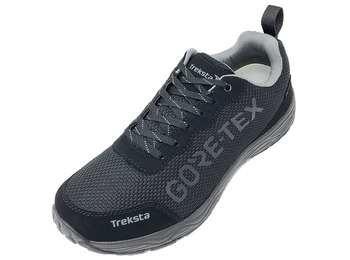 Zapatilla Treksta Olympus Low GTX Negro