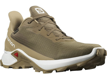 Zapatillas Salomon Alphacross 3 GTX Marrón/Beige