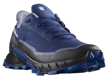 Zapatillas Salomon Alphacross 5 GTX Azul