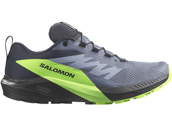 Zapatillas Salomon Sense Ride 5 GTX Gris/Verde/Negro