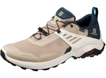 Zapatillas Salomon X Raise GTX Beige/Marino