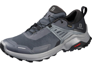 Zapatillas Salomon X Raise GTX W Gris