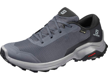 Zapatillas Salomon X Reveal GTX W Gris