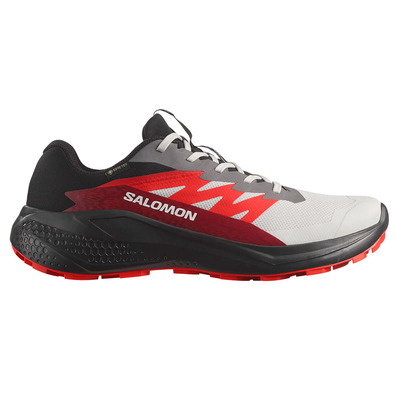 Zapatilla Salomon Alphaglide GTX Gris/Rojo/Negro