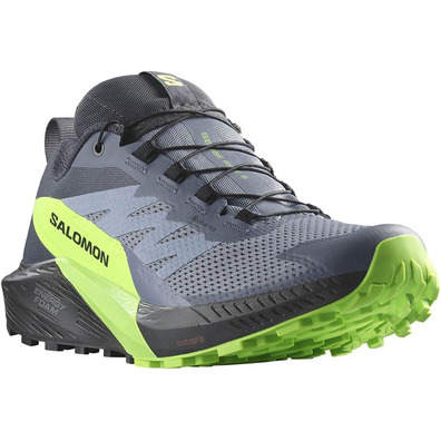 Zapatillas Salomon Sense Ride 5 GTX Gris/Verde/Negro