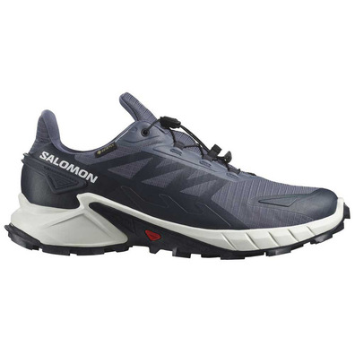 Zapatillas Salomon Supercross 4 GTX Gris