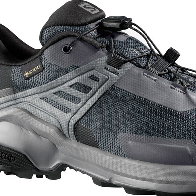 Zapatillas Salomon X Raise GTX W Gris