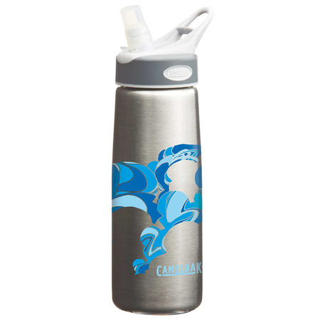 Cantimplora Camelbak Better Bottle S/S 0,75 litros Gris