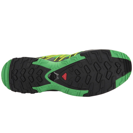 Zapatilla Salomon XA PRO 3D GTX Lima/Verde