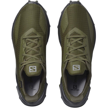 Zapatilla Salomon Alphacross Blast GTX Verde