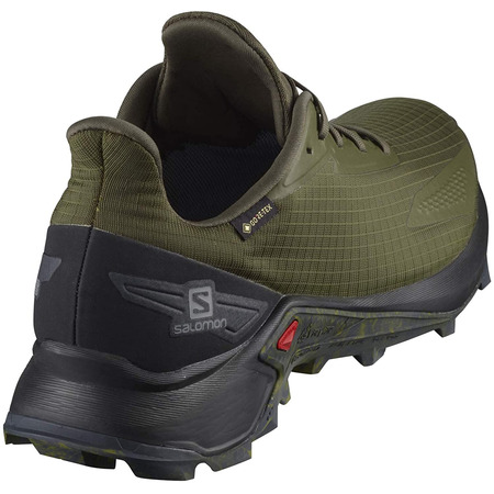 Zapatilla Salomon Alphacross Blast GTX Verde