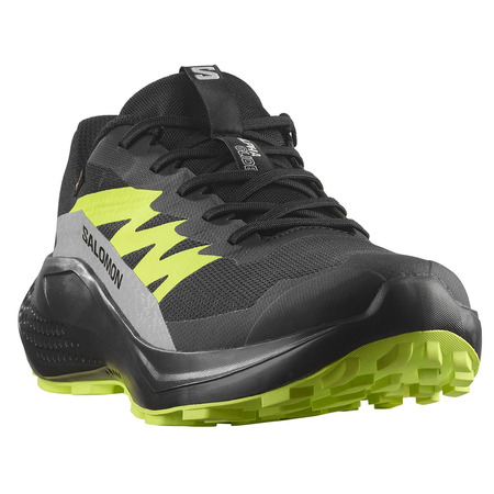 Zapatilla Salomon Alphaglide GTX Negro/Verde Lima