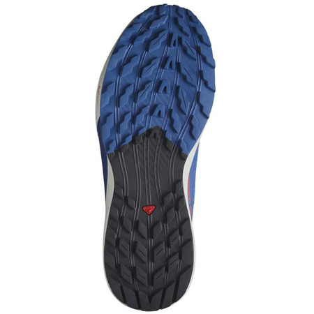 Zapatilla Salomon Sense Ride 5 Azul/Negro