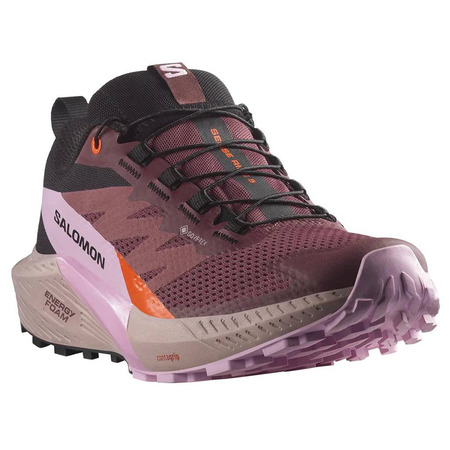 Zapatilla Salomon Sense Ride 5 GTX Morado/Violeta