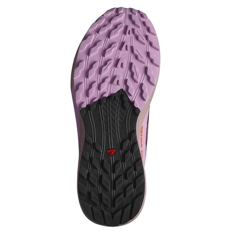 Zapatilla Salomon Sense Ride 5 GTX Morado/Violeta