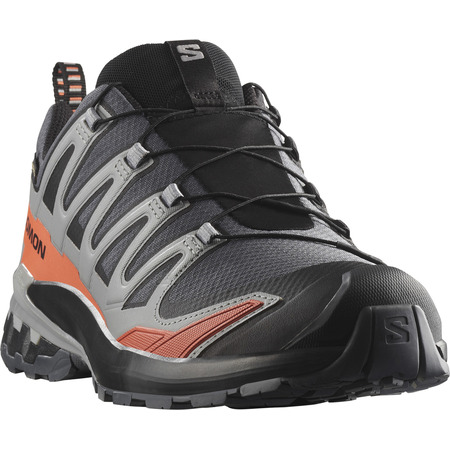 Zapatilla Salomon XA PRO 3D V9 Wide GTX Gris/Teja