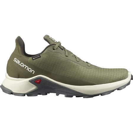 Zapatillas Salomon Alphacross 3 GTX Verde