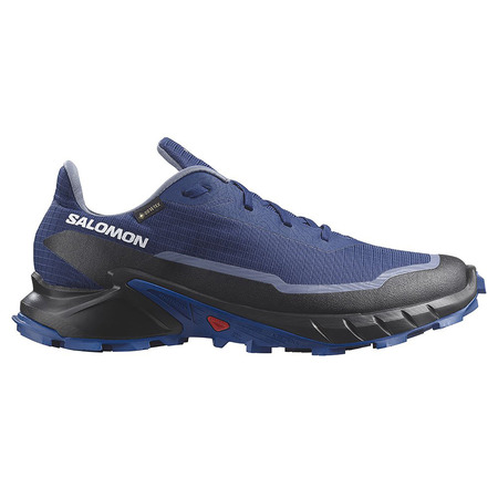 Zapatillas Salomon Alphacross 5 GTX Azul