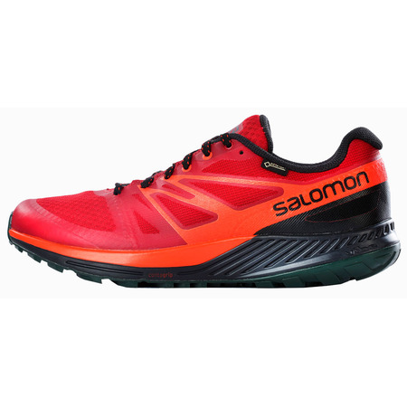 Zapatillas Salomon Sense Escape GTX Granate/Rojo