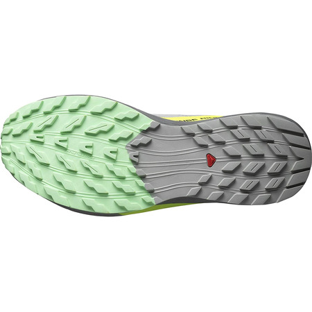 Zapatillas Salomon Sense Ride 5 Gris/Lima