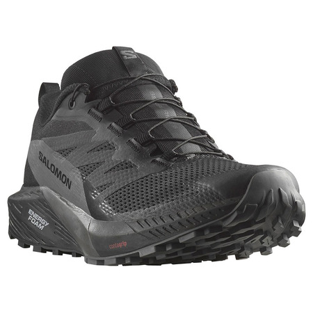 Zapatillas Salomon Sense Ride 5 GTX Negro