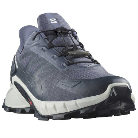 Zapatillas Salomon Supercross 4 GTX Gris