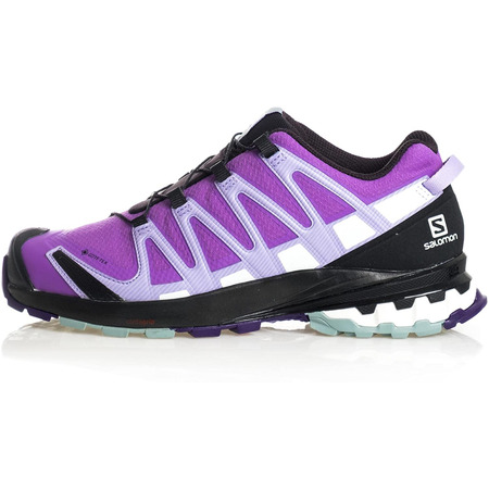 Zapatillas Salomon XA PRO 3D V8 GTX W Violeta