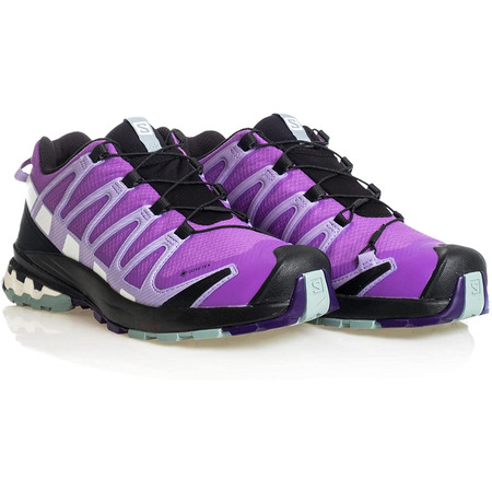 Zapatillas Salomon XA PRO 3D V8 GTX W Violeta