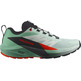 Zapatillas Salomon Sense Ride W Verde