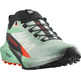 Zapatillas Salomon Sense Ride W Verde