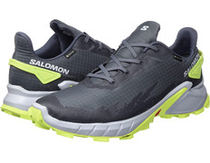 Zapatilla Salomon Alphacross 4 GTX Gris/Lima