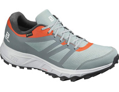 Zapatilla Salomon Trailster 2 GTX Gris