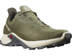 Zapatillas Salomon Alphacross 3 GTX Verde