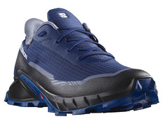 Zapatillas Salomon Alphacross 5 GTX Azul