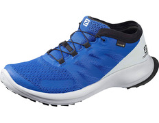 Zapatillas Salomon Sense Flow GTX Azul