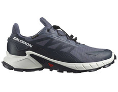 Zapatillas Salomon Supercross 4 GTX Gris