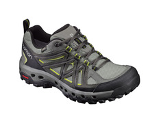 Zapato Salomon Evasion 2 GTX Surround Arena