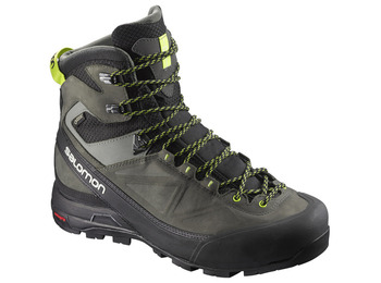 Bota Salomon X Alp MTN GTX Gris/Lima