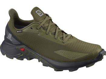 Zapatilla Salomon Alphacross Blast GTX Verde