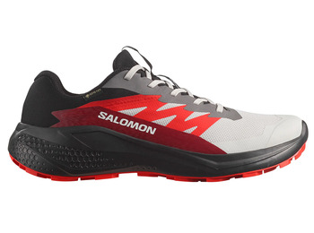 Zapatilla Salomon Alphaglide GTX Gris/Rojo/Negro