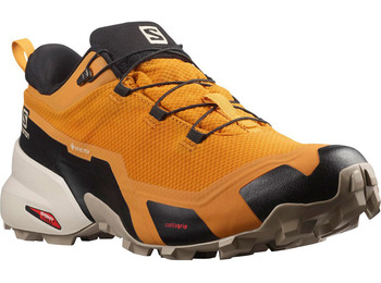 Zapatillas Salomon Cross Hike GTX Oro