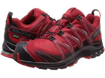 Zapatillas Salomon XA PRO 3D GTX Rojo oscuro/Negro