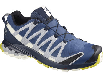 Zapatillas Salomon XA PRO 3D V8 GTX Azul